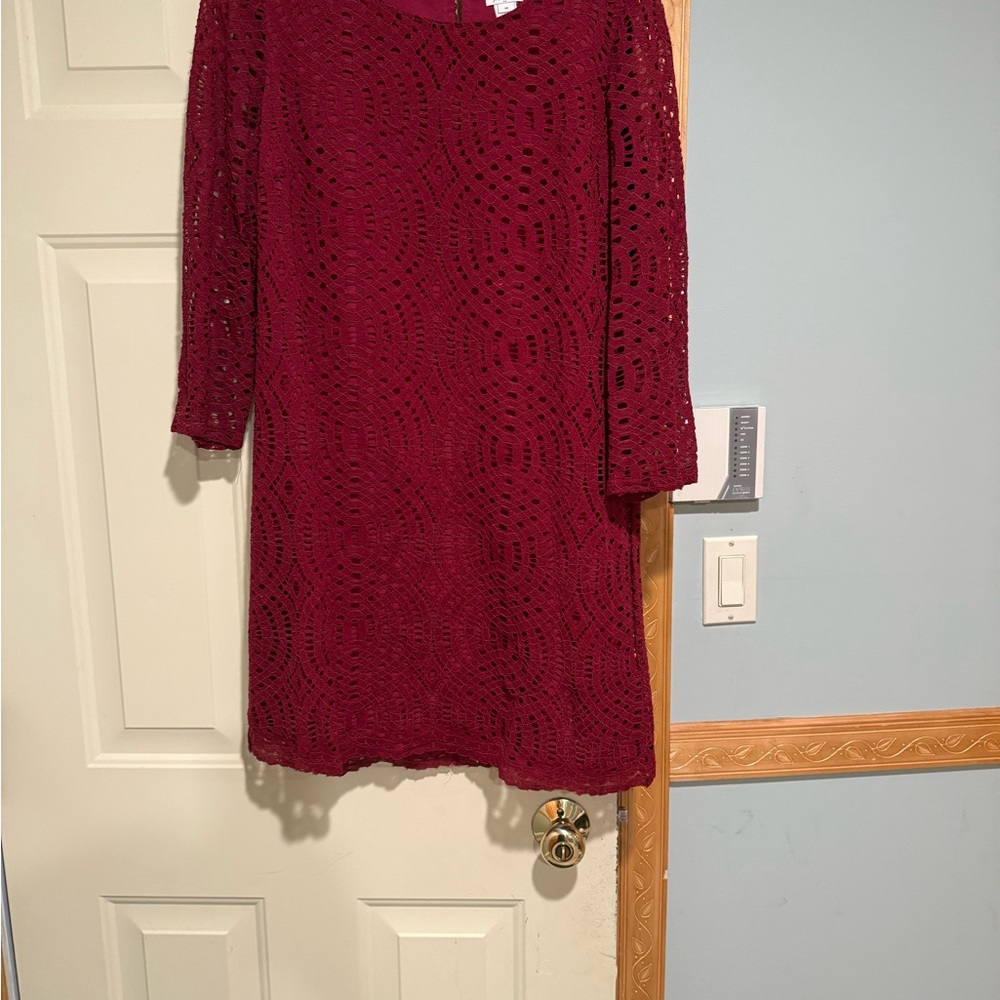 J. Crew Rich Red Lace Long Sleeve Dress